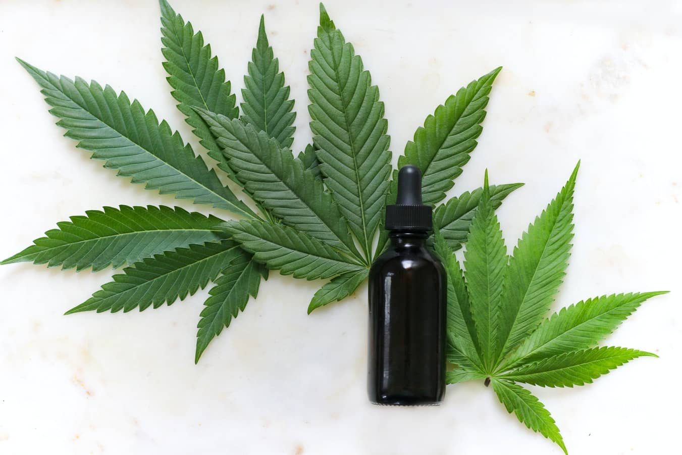 5 Things to Consider When Shopping For CBD Products