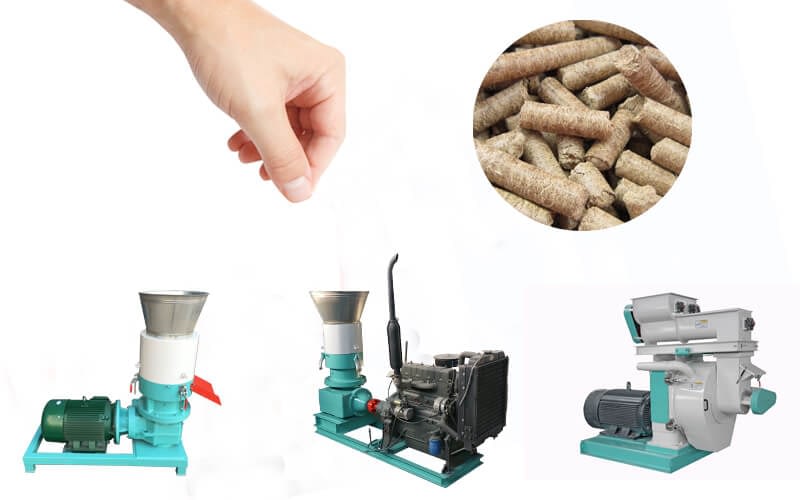 5 Important Things to Consider While Selecting Pellet Mill