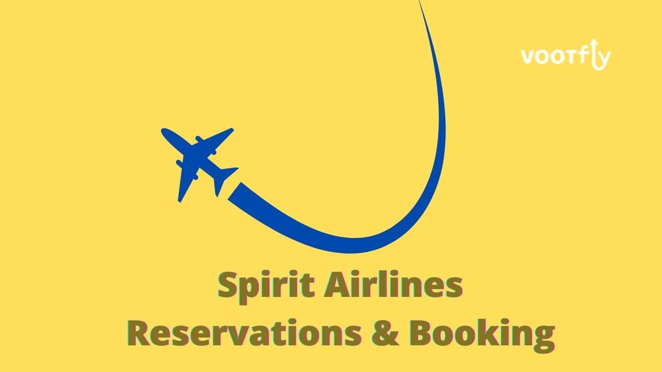 Spirit Airlines Reservations Booking - Updated California