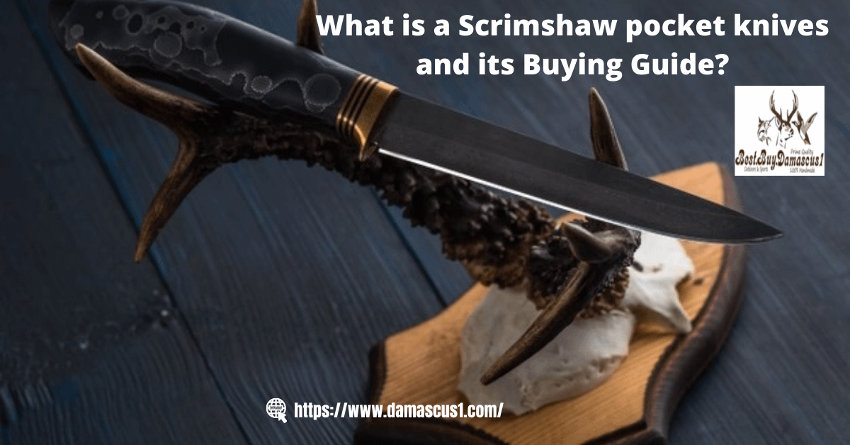 What is a Scrimshaw pocket knives and its Buying Guide?