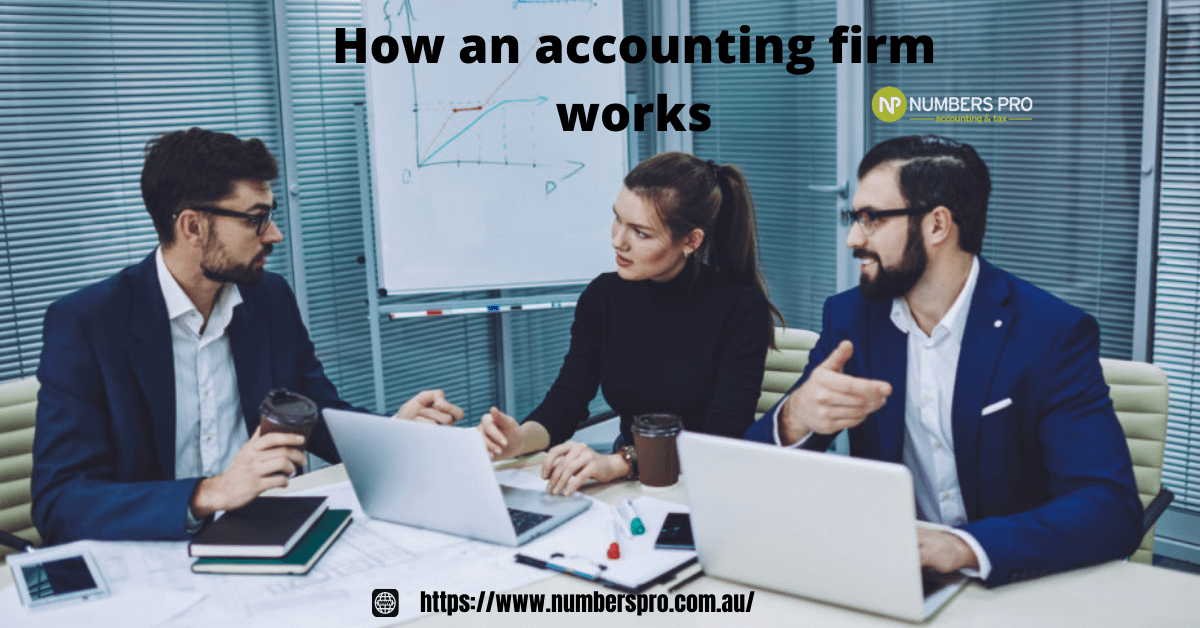 How an accounting firm works